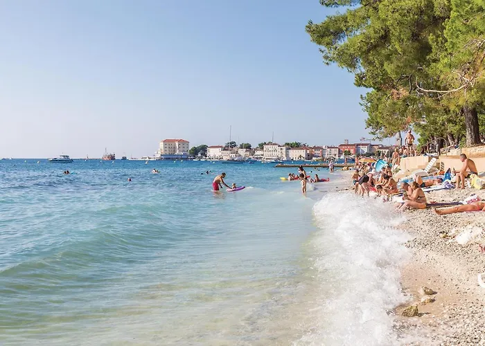 One-bedroom In Kosinozici